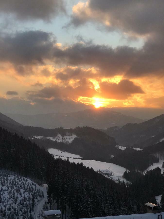 Das Landhaus Puchenstuben Экстерьер фото